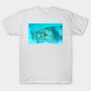 Sting Ray T-Shirt